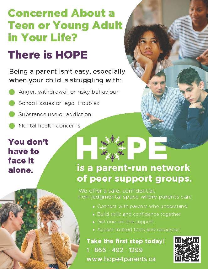 Parent peer support groups network of parent run support groups