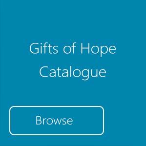 Browse Catalogue