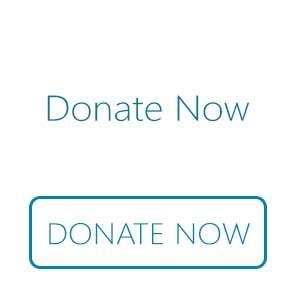Donate Now